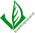 Bellaplant_B