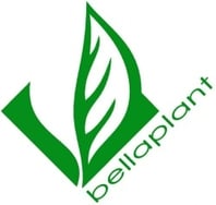 Bellaplant_B